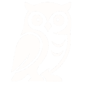 ModelOwl Logo